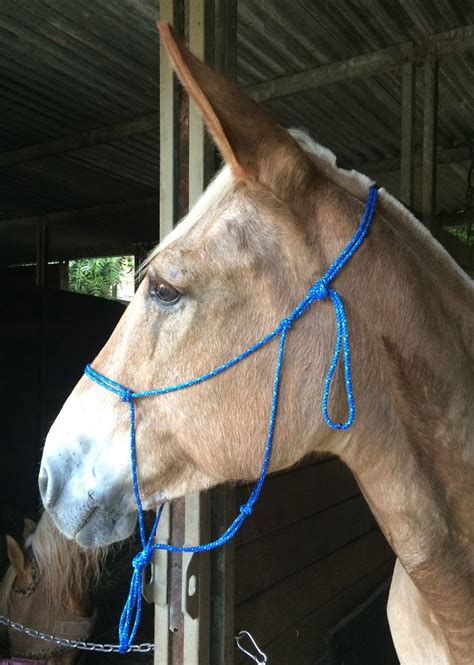 how to make a horse halter out of rope
